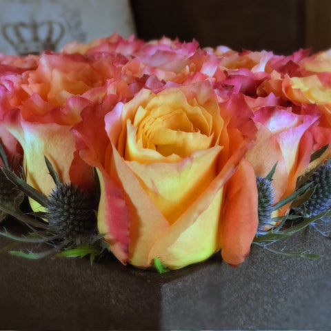Man Roses